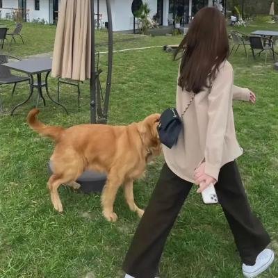 吾父吾血